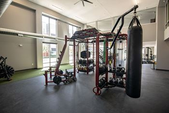A gym with a punching bag, weights, and exercise equipment.